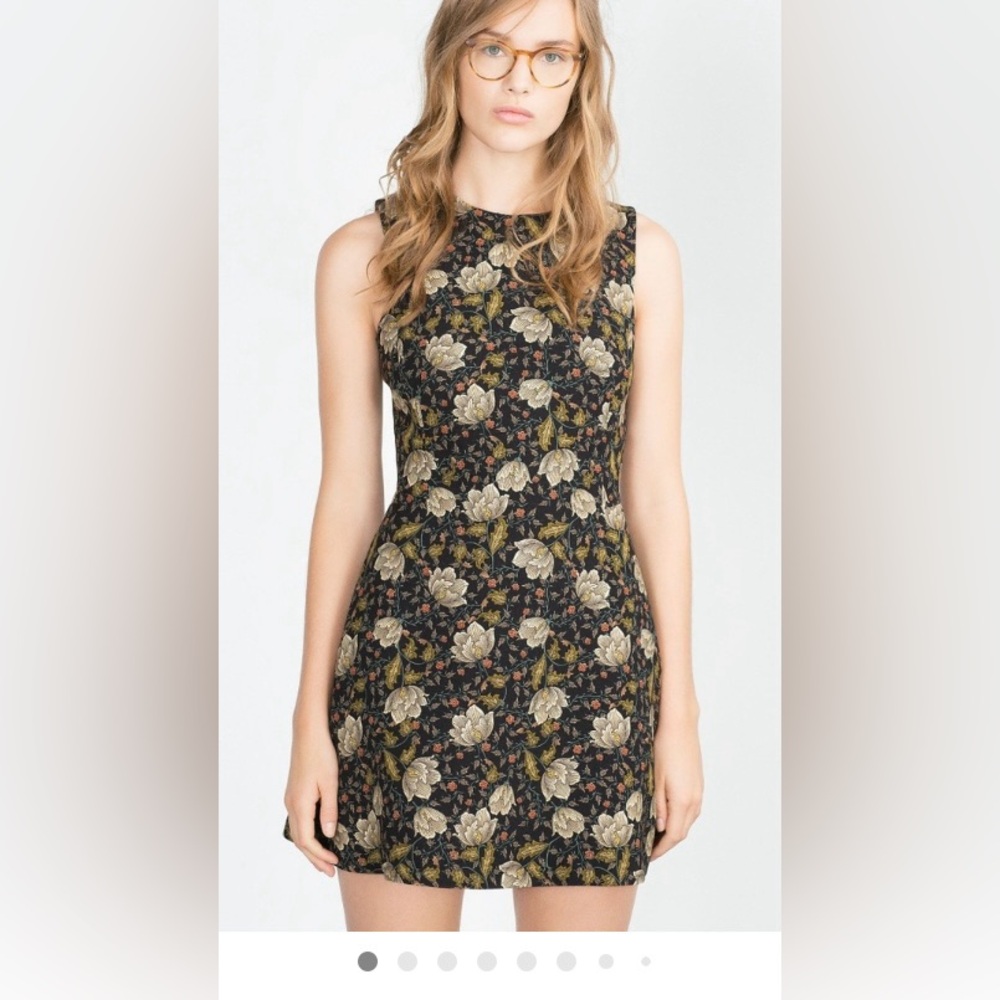 Zara Floral Sleeveless Fit and Flare Dress